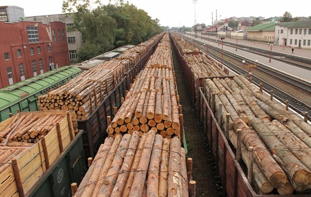 Запрет на экспорт леса-кругляка: в ЕС не согласны с заявлением Украины о победе в споре