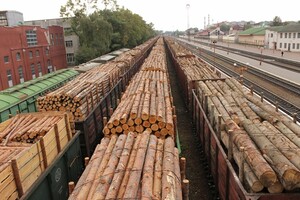 Запрет на экспорт леса-кругляка: в ЕС не согласны с заявлением Украины о победе в споре