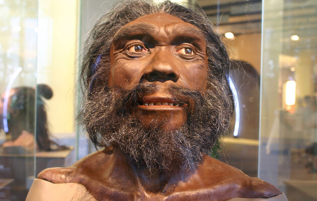 Древние люди спадали в спячку, чтобы пережить зиму