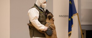 В Австрии обучили служебную собаку выявлять коронавирусную инфекцию 