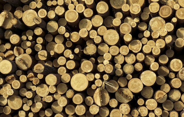 Чергова кома у діалозі про експорт деревини