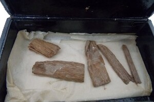 В коробке для сигар нашли артефакт из пирамиды Хеопса