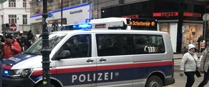 В Австрии взяли под стражу двух вероятных сообщников венского террориста