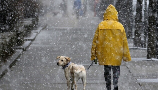 Синоптики предупредили об ухудшении погоды в Украине: снова мокрый снег и гололед