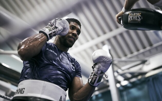 Джошуа в останньому бою впорався з Пулєвим