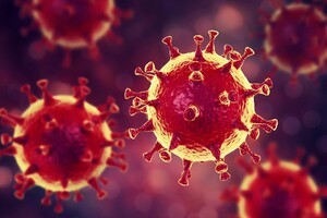 Ученые выявили еще один вариант коронавируса SARS-CoV-2 