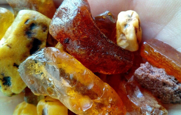  Фото: flashnord.com