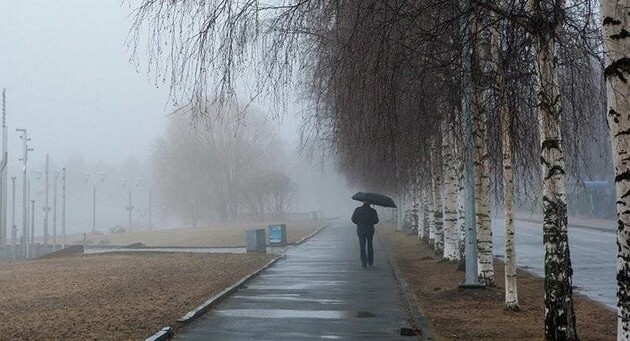 В Україні буде сухо, температура підніметься до +10 - прогноз погоди на 2 січня 