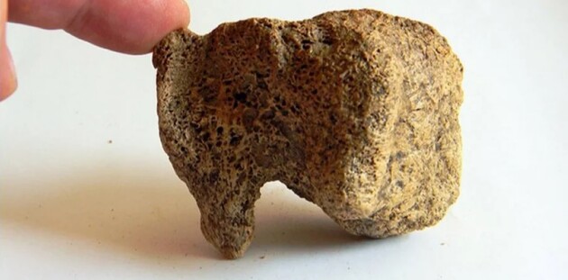 Доисторические люди умели размягчать бивни мамонтов – ученые