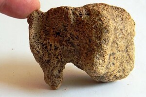 Доісторичні люди вміли розм’якшувати бивні мамонтів - вчені 