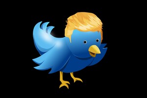 Трамп выполнил требование Twitter и удалил скандальные посты 
