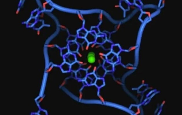 Рідкісний різновид ДНК виявили в живих клітинах людини