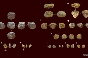 У Танзанії знайдені кам'яні знаряддя праці віком два мільйони років 
