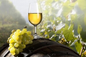 Кабмін підтримав українських виробників вина збільшивши ціни на ігристе 