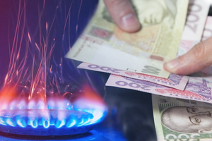 «Сумма в платежке уменьшится на 500-800 грн»: депутаты и Кабмин договорились о новой цене на газ