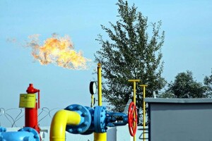 Уряд своїм втручанням може знищити ринок газу та укріпити монополію Фірташа