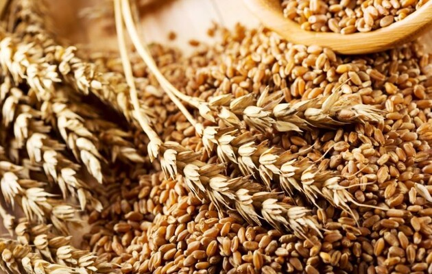 Україна вийшла на друге місце в світі з експорту зерна 