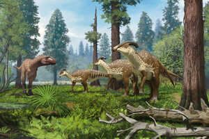 Ученые рассказали о предназначении гребня гигантского динозавра