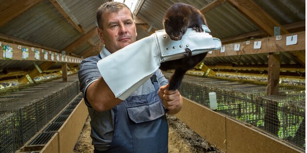 Фото: eadaily.com