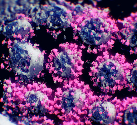 Создано антитело, эффективное против коронавируса и его "родственников"