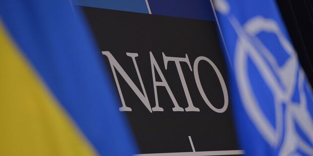 Гриценко о вопросе Зеленского к Байдену по членству в НАТО: 