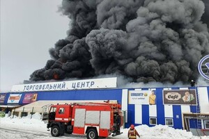 В Николаевской области горит 