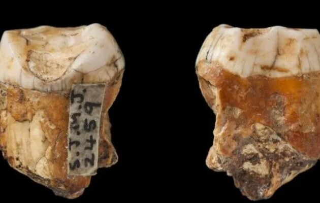 Ученые нашли следы «гибридной популяции» неандертальцев и людей