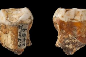Вчені знайшли сліди «гібридної популяції» неандертальців і людей 
