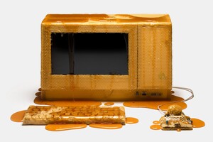 Американцы создали прототип компьютера из меда 