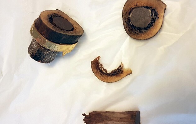 Фрагменти стегнової кістки, які, як вважається, належать святому Якову