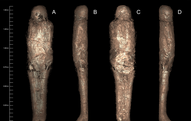 Вчені розповіли про мумію з «панциром» з бруду 