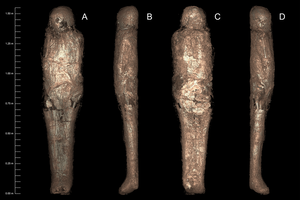 Вчені розповіли про мумію з «панциром» з бруду 