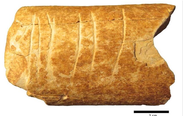 Вчені знайшли одну з найдавніших символічних гравюр, вирізаних на кістці