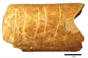 Вчені знайшли одну з найдавніших символічних гравюр, вирізаних на кістці