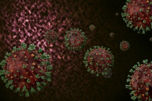 Вчені знайшли зв'язок між появою коронавірусу і глобальним потеплінням 
