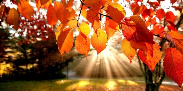 Гормоны в теле человека показали зависимость от времен года