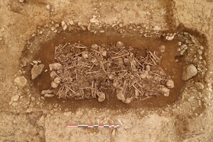 Во Франции найдена неолитическая братская могила