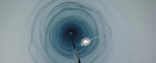 Вчені знайшли губок під льодом