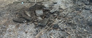 Загибель десантників під Новолуганським: ДБР розслідує недбале ставлення до служби 
