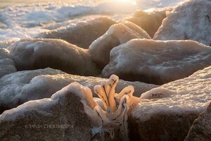 Азовское море укрыло льдом: впечатляющие фотографии из соцсетей 