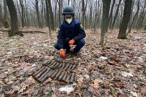 За сутки украинские саперы обезвредили более 200 мин и снарядов в зоне ООС 