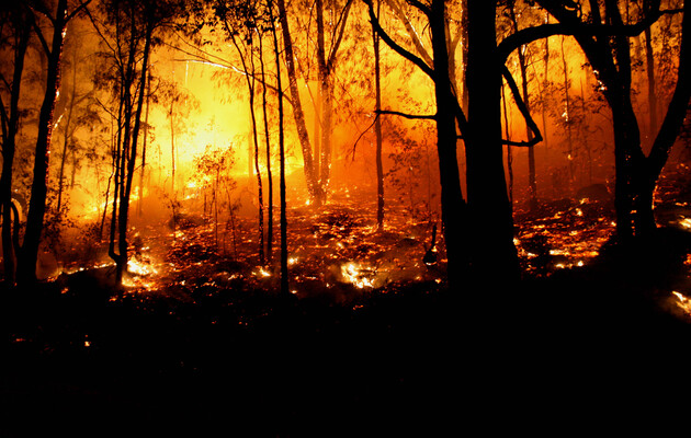 Рада повысила штрафы за сжигание сухой растительности 
