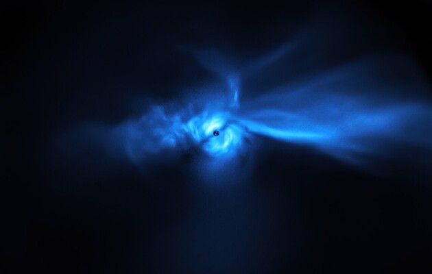 Газопиловий диск нагадує птаха