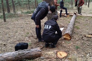 Харьковских полицейских будут судить за фабрикацию дела о незаконной вырубке леса