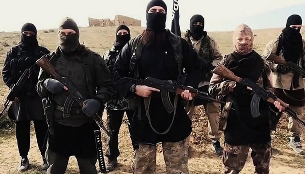 Авиация международной коалиции ликвидировала семерых боевиков ИГИЛ в Ираке