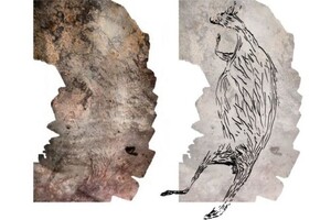 Ученые нашли в Австралии наскальный рисунок кенгуру возрастом 17 тысяч лет