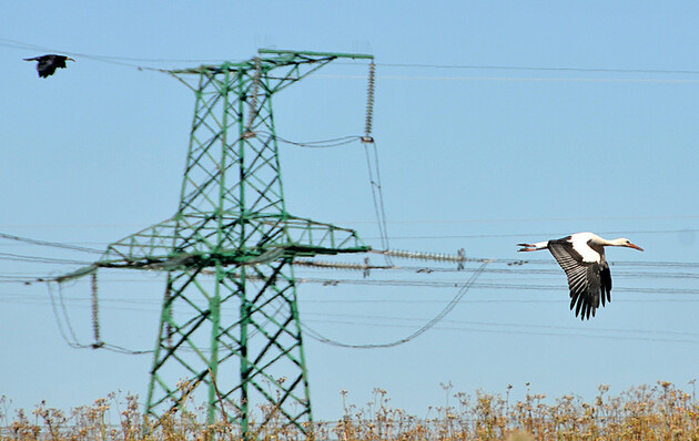  Україна планує підключитися до єдиної європейської електромережі