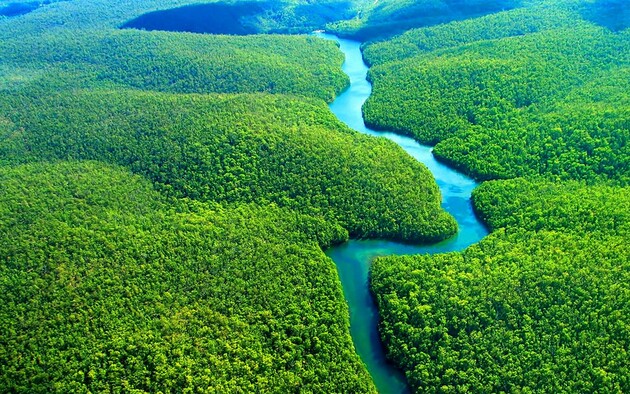 Амазонські джунглі виставили на продаж, на деяких ділянках до сих пір живуть племена індіанців 