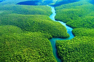 Амазонські джунглі виставили на продаж, на деяких ділянках до сих пір живуть племена індіанців 