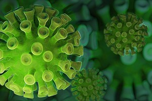 Nature называет пять загадок о происхождении коронавируса, над которыми работают ученые